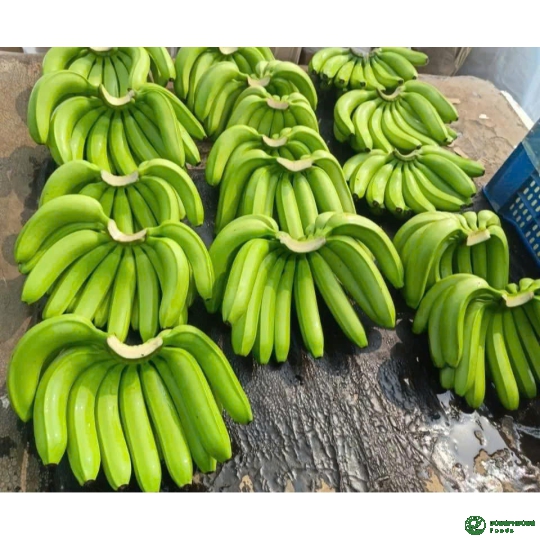 Cavendish banana