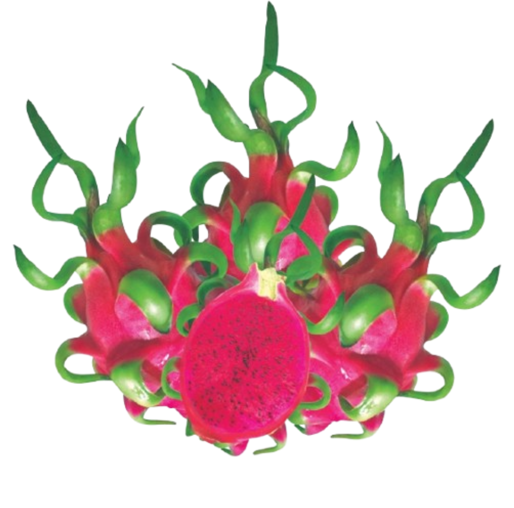 Red dragon fruit