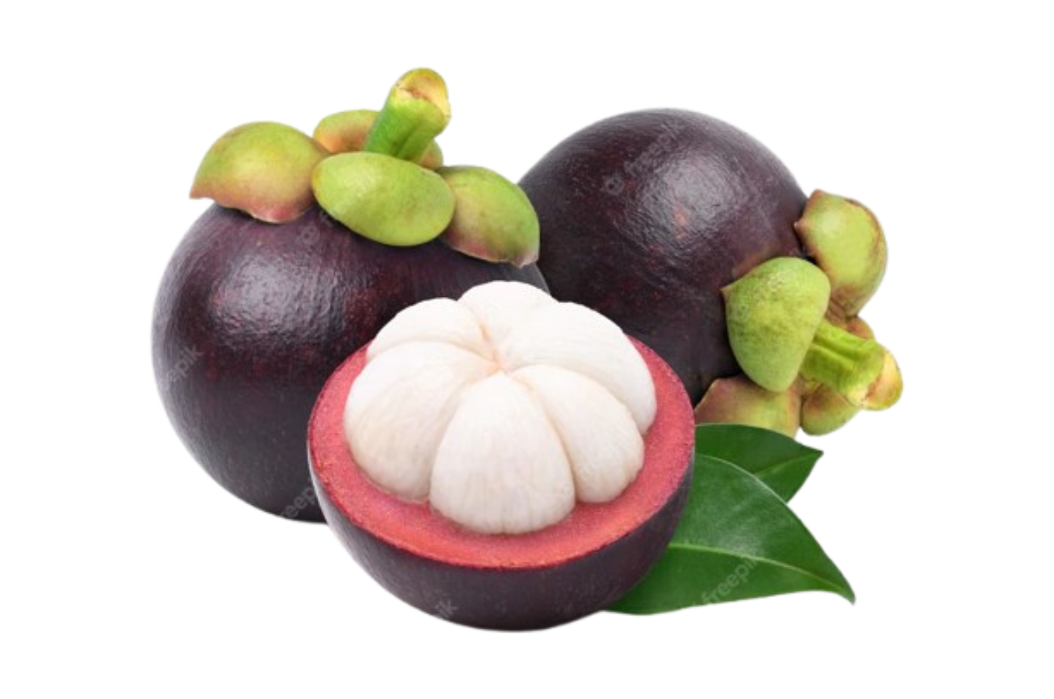 Mangosteen