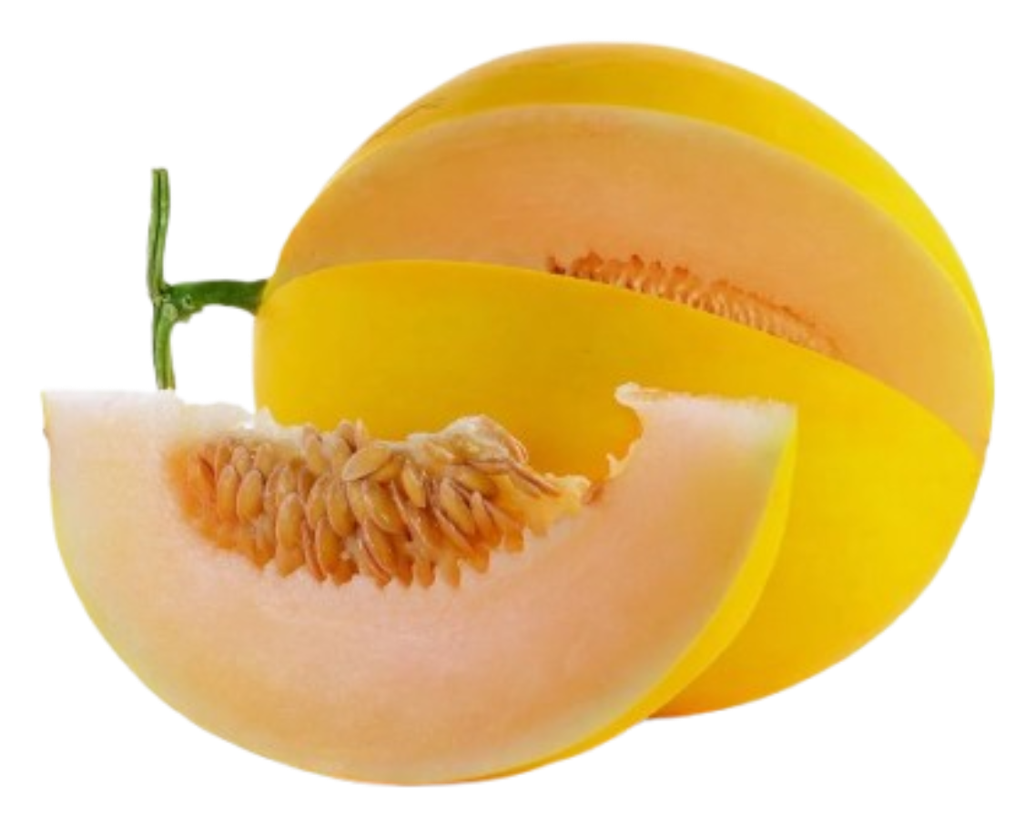Musk melon