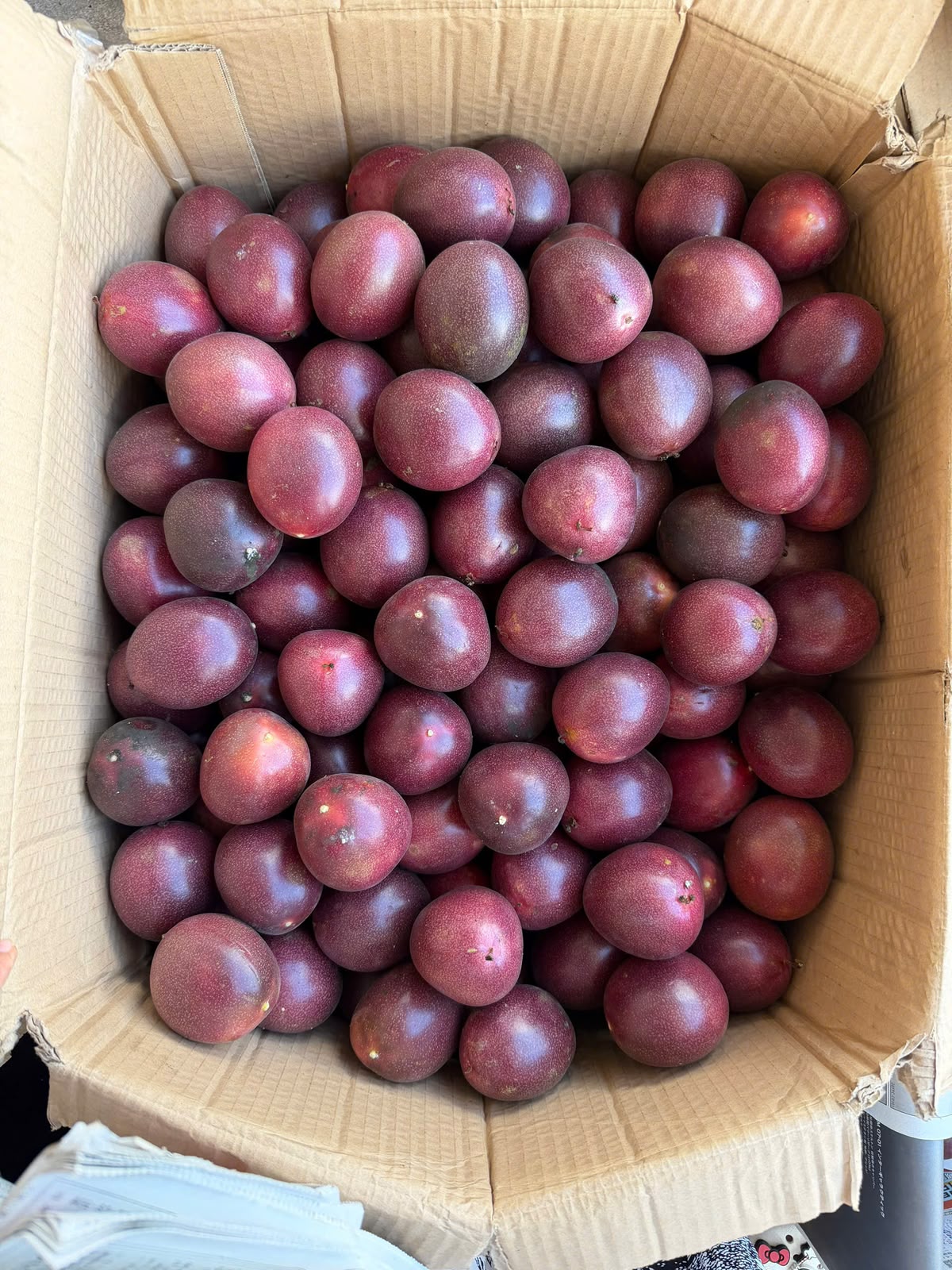 Passion fruit