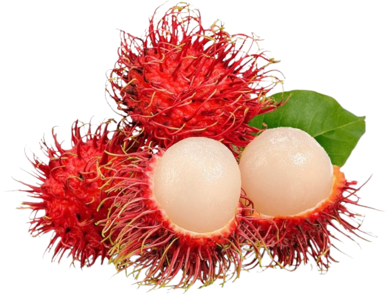 Rambutan